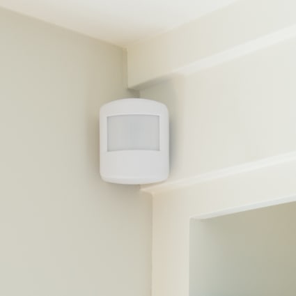 Dothan motion sensor