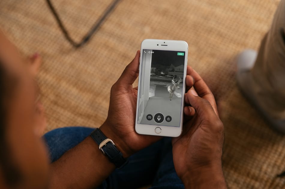 Blue Springs AL security system